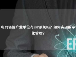 电网省管产业单位有ERP系统吗？如何实现数字化管理？