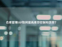 仓库管理ERP如何提高库存控制和效率？
