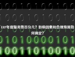ERP年度服务费百分几？影响因素和合理预算如何确定？