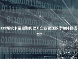 ERP系统卡诺亚如何提升企业管理效率和降低成本？
