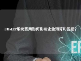 D365ERP系统费用如何影响企业预算和回报？