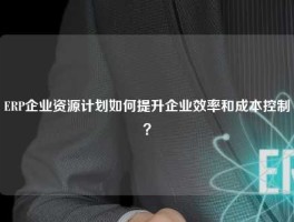 ERP企业资源计划如何提升企业效率和成本控制？