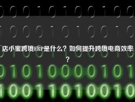 店小蜜跨境ERP是什么？如何提升跨境电商效率？