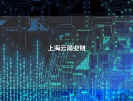 上海云简业财