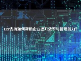 ERP支持如何帮助企业提升效率与管理能力？