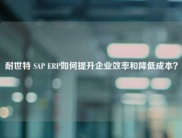 耐世特 SAP ERP如何提升企业效率和降低成本？