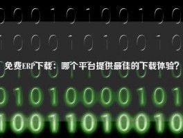 免费ERP下载：哪个平台提供最佳的下载体验？
