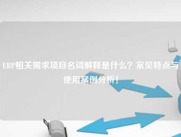 ERP相关需求项目名词解释是什么？常见特点与使用案例分析！