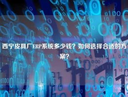 西宁皮具厂ERP系统多少钱？如何选择合适的方案？