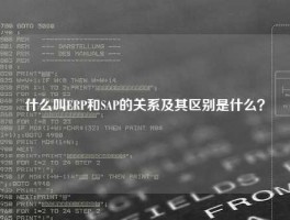 什么叫ERP和SAP的关系及其区别是什么？