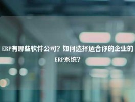 ERP有哪些软件公司？如何选择适合你的企业的ERP系统？