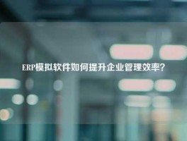 ERP模拟软件如何提升企业管理效率？