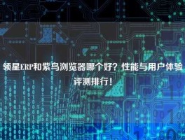 领星ERP和紫鸟浏览器哪个好？性能与用户体验评测排行！