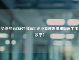 免费的云ERP如何满足企业管理需求和提高工作效率？
