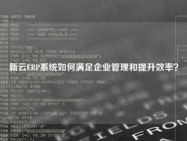 新云ERP系统如何满足企业管理和提升效率？