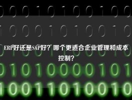 ERP好还是SAP好？哪个更适合企业管理和成本控制？