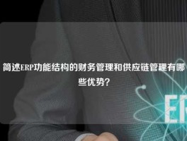 简述ERP功能结构的财务管理和供应链管理有哪些优势？