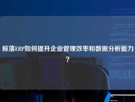 鲸落ERP如何提升企业管理效率和数据分析能力？