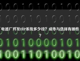 电器厂开发ERP系统多少钱？成本与选择有哪些？