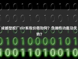 成都塑胶厂ERP系统价格如何？含哪些功能及优势？