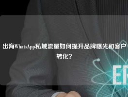 出海WhatsApp私域流量如何提升品牌曝光和客户转化？