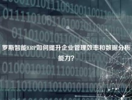 罗斯智能ERP如何提升企业管理效率和数据分析能力？