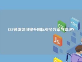 ERP跨境如何提升国际业务效率与管理？