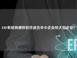 ERP系统有哪些软件适合中小企业和大型企业？
