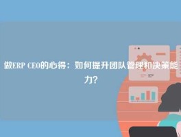 做ERP CEO的心得：如何提升团队管理和决策能力？