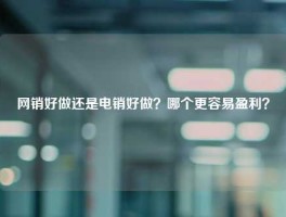 网销好做还是电销好做？哪个更容易盈利？