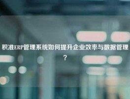 积准ERP管理系统如何提升企业效率与数据管理？
