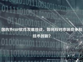 国内外ERP软件发展挑战，如何应对市场竞争和技术创新？