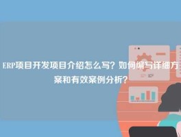 ERP项目开发项目介绍怎么写？如何编写详细方案和有效案例分析？