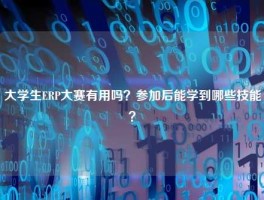大学生ERP大赛有用吗？参加后能学到哪些技能？