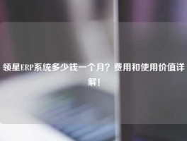 领星ERP系统多少钱一个月？费用和使用价值详解！