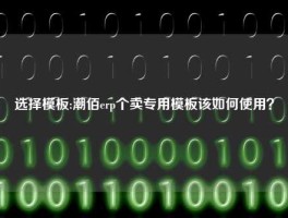 选择模板:潮佰erp个卖专用模板该如何使用？