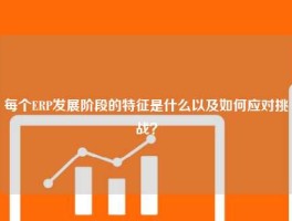 每个ERP发展阶段的特征是什么以及如何应对挑战？