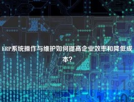 ERP系统操作与维护如何提高企业效率和降低成本？