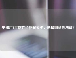 电器厂ERP软件价格是多少，选择哪款最划算？
