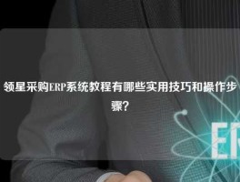 领星采购ERP系统教程有哪些实用技巧和操作步骤？