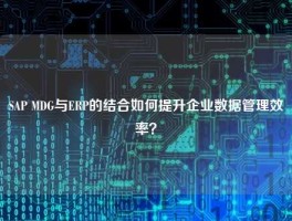 SAP MDG与ERP的结合如何提升企业数据管理效率？