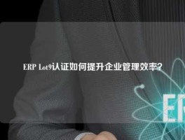 ERP Lot9认证如何提升企业管理效率？