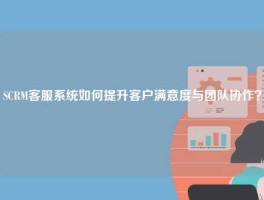 SCRM客服系统如何提升客户满意度与团队协作？