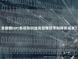 金螳螂ERP2系统如何提高管理效率和降低成本？