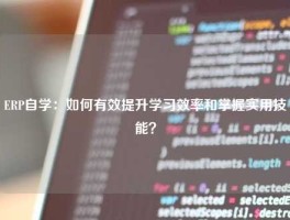 ERP自学：如何有效提升学习效率和掌握实用技能？