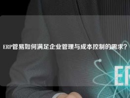 ERP管易如何满足企业管理与成本控制的需求？