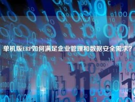单机版ERP如何满足企业管理和数据安全需求？