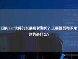 国内ERP软件的发展现状如何？主要挑战和未来趋势是什么？