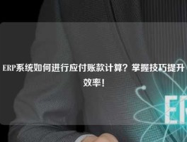 ERP系统如何进行应付账款计算？掌握技巧提升效率！