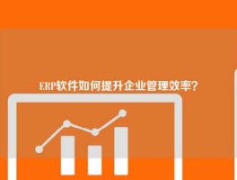 ERP软件如何提升企业管理效率？